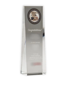Crystal Patent Award