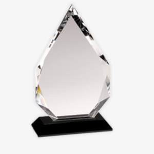 Crystal Patent Award